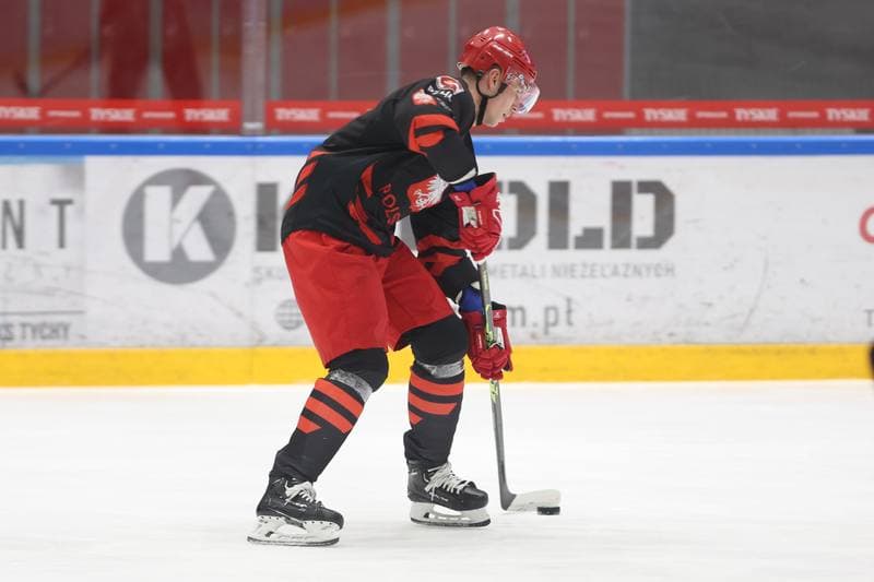 Ice Hockey. Poland national team. Training. 17.04.2023