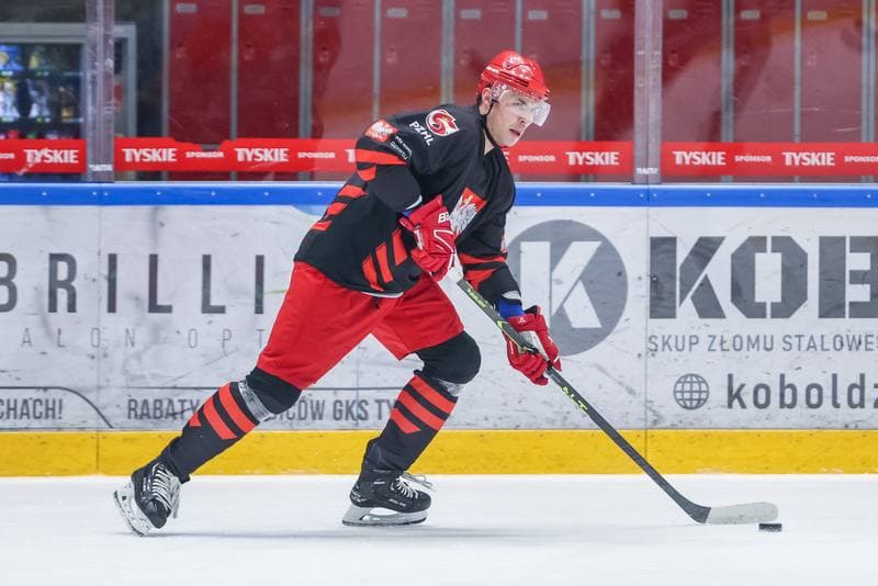 Ice Hockey. Poland national team. Training. 17.04.2023