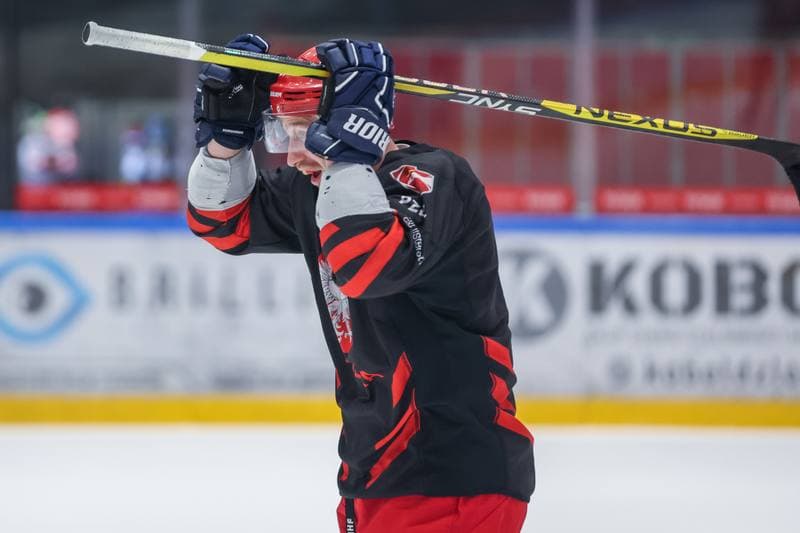 Ice Hockey. Poland national team. Training. 17.04.2023