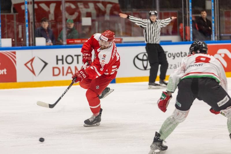 Ice Hockey. Friendly Match. Poland - Hungary. 20.04.2023