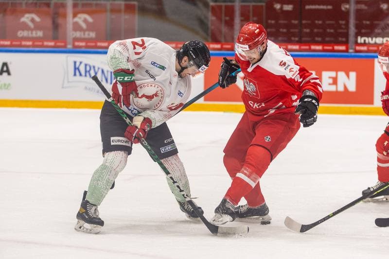 Ice Hockey. Friendly Match. Poland - Hungary. 20.04.2023