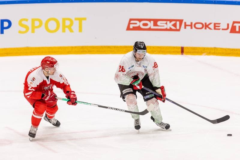 Ice Hockey. Friendly Match. Poland - Hungary. 20.04.2023