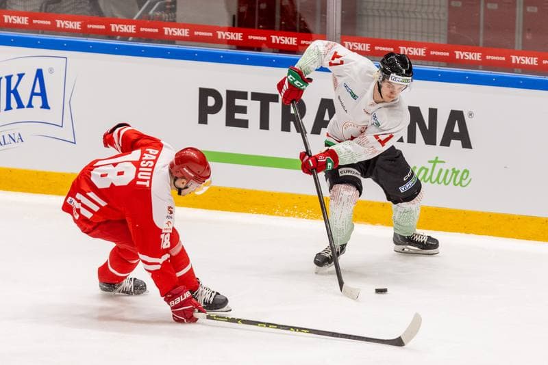 Ice Hockey. Friendly Match. Poland - Hungary. 20.04.2023