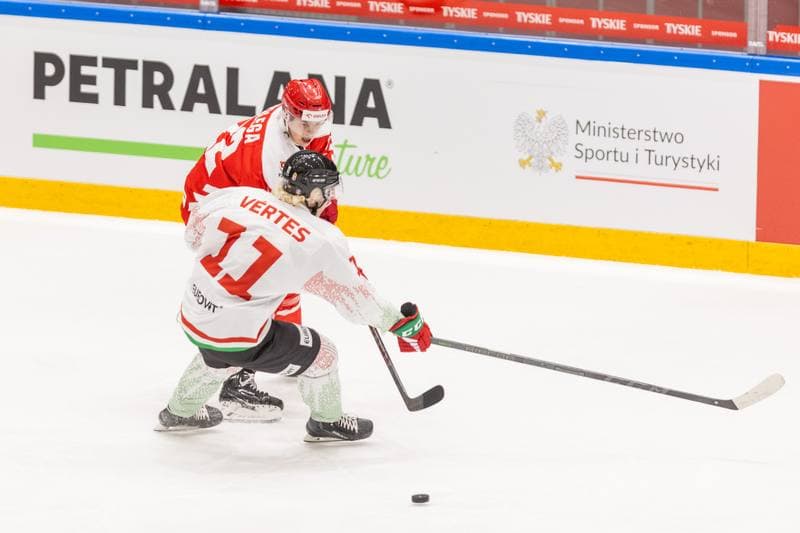 Ice Hockey. Friendly Match. Poland - Hungary. 20.04.2023