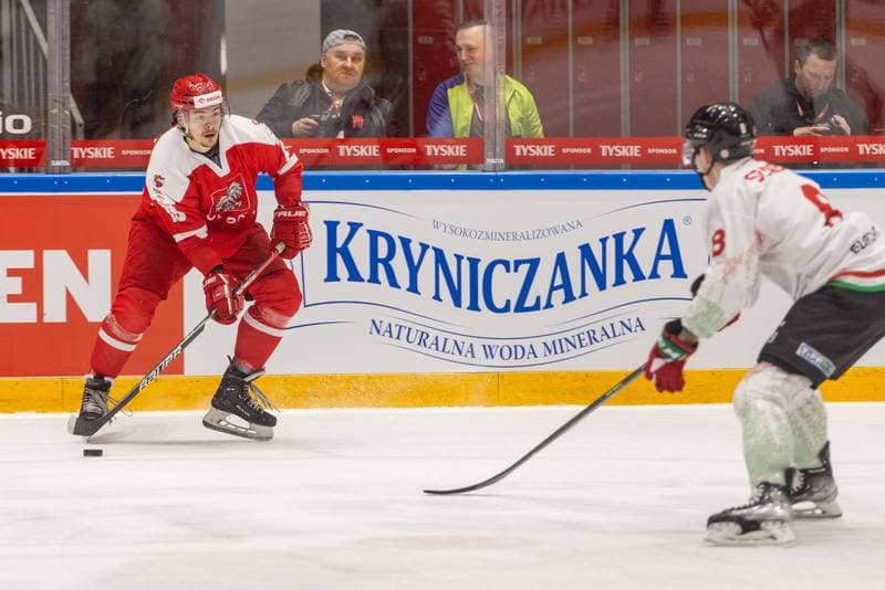 Ice Hockey. Friendly Match. Poland - Hungary. 20.04.2023