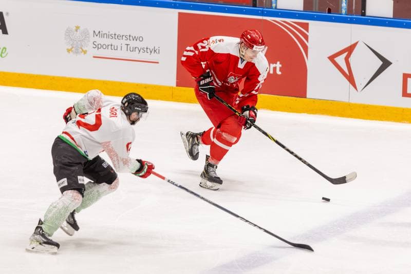 Ice Hockey. Friendly Match. Poland - Hungary. 20.04.2023