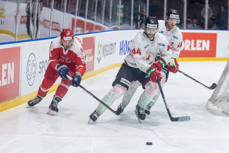 Ice Hockey. Friendly Match. Poland - Hungary. 21.04.2023