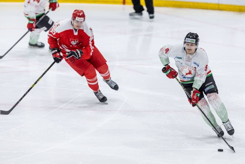 Ice Hockey. Friendly Match. Poland - Hungary. 21.04.2023