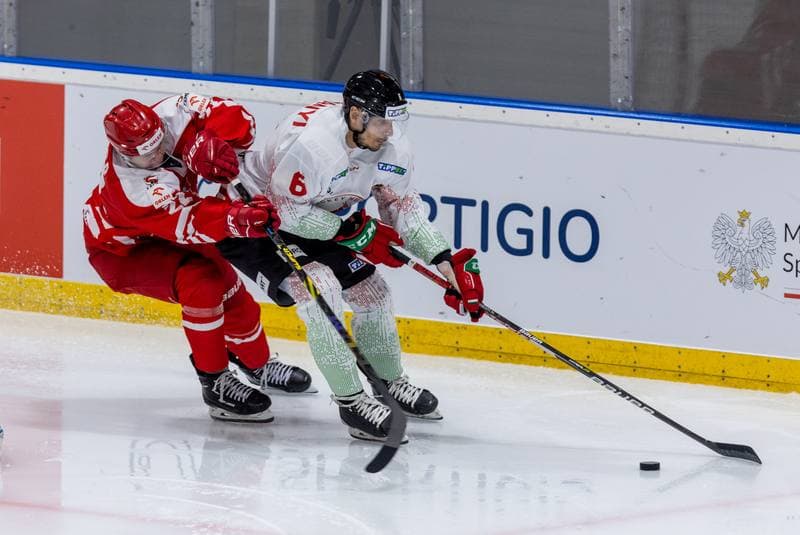 Ice Hockey. Friendly Match. Poland - Hungary. 21.04.2023