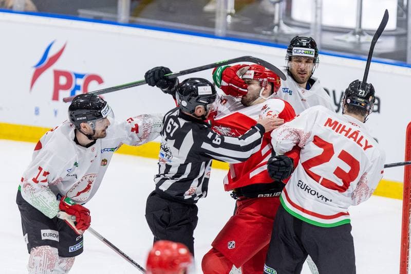 Ice Hockey. Friendly Match. Poland - Hungary. 21.04.2023