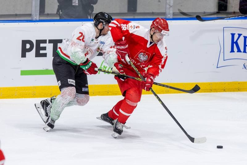 Ice Hockey. Friendly Match. Poland - Hungary. 21.04.2023