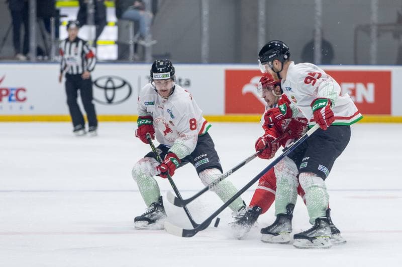 Ice Hockey. Friendly Match. Poland - Hungary. 21.04.2023