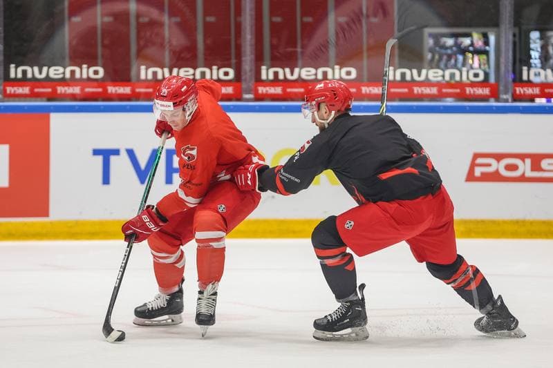 Ice Hockey. Poland national team. Training. 24.04.2023