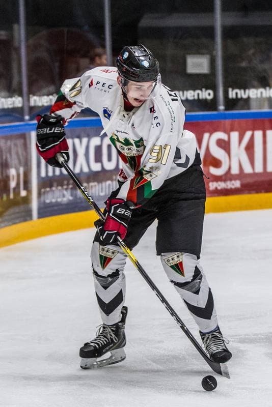 Ice Hockey. PHL. GKS Tychy - Comarch Cracovia. 24.11.2019