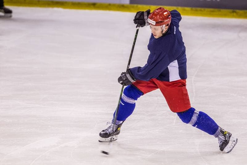 Ice Hockey. Poland national team. Training. 14.12.2020