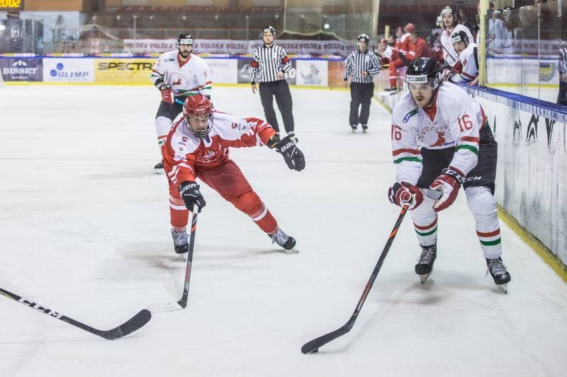 Ice Hockey. International Friendly. Poland - Hungary. 17.12.2020