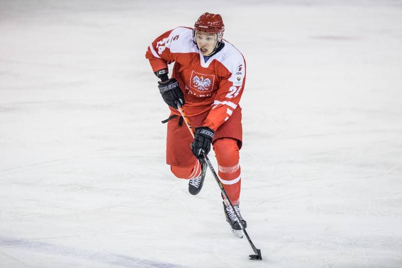 Ice Hockey. International Friendly. Poland - Hungary. 17.12.2020