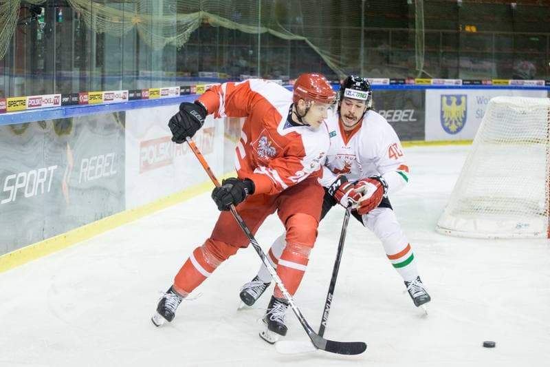 Ice Hockey. International Friendly. Poland - Hungary. 18.12.2020