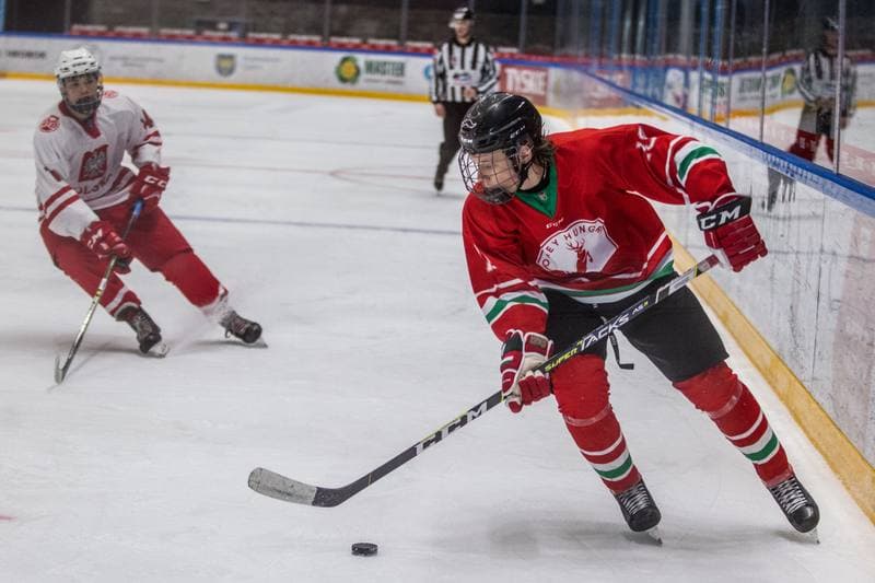 Ice Hockey. International Friendly. Poland U20 - Hungary U20. 09.04.2021