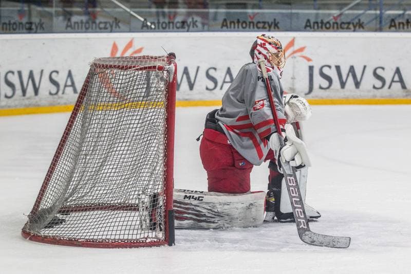 Ice Hockey. Poland national team. Training. 11.05.2021