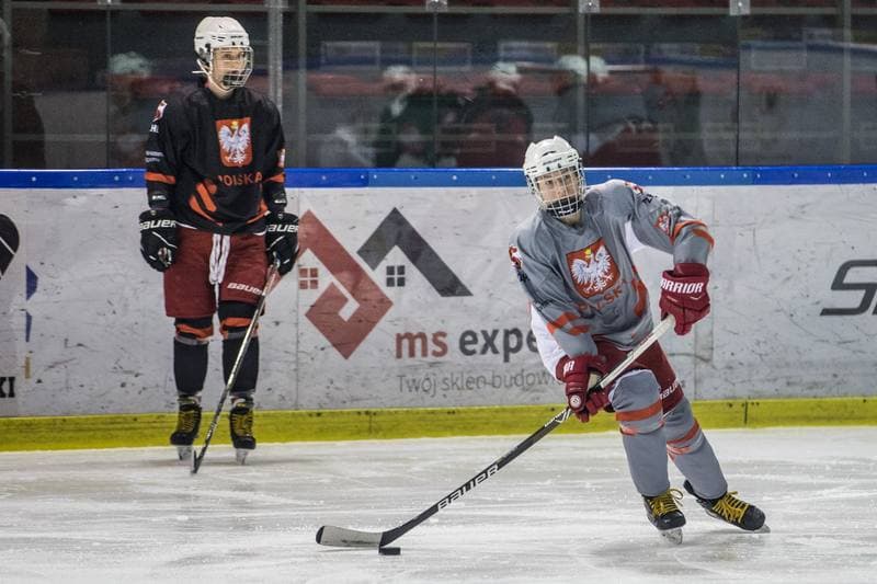 Ice Hockey. Poland national team. Training. 31.03.2022