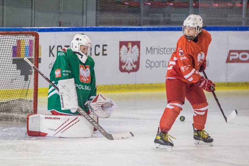 Ice Hockey. Poland national team. Training. 04.04.2022