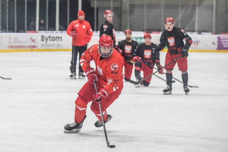 Ice Hockey. Poland national team. Training. 18.04.2022