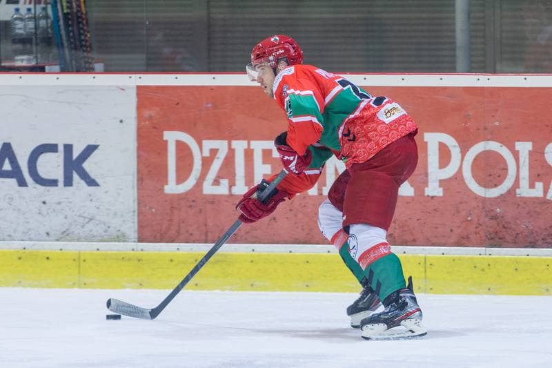 Ice Hockey. PHL. Comarch Cracovia - Zaglebie Sosnowiec. 02.11.2022
