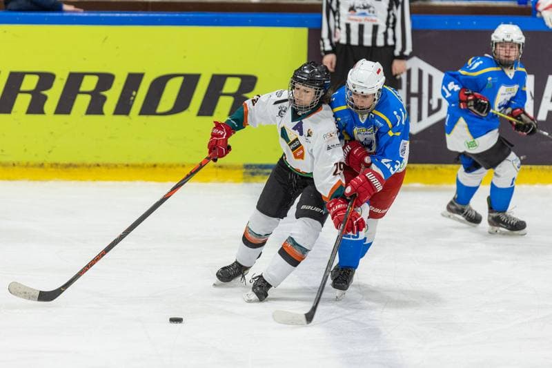 Ice Hockey. PLHK. Kojotki Naprzod Janow - UKHK Unia Oswiecim. 26.11.2022