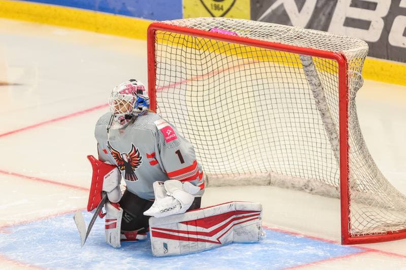 Ice Hockey. EWHL. TAURON Metropolia Silesia - KSV Neuberg Highlanders. 01.10.2023