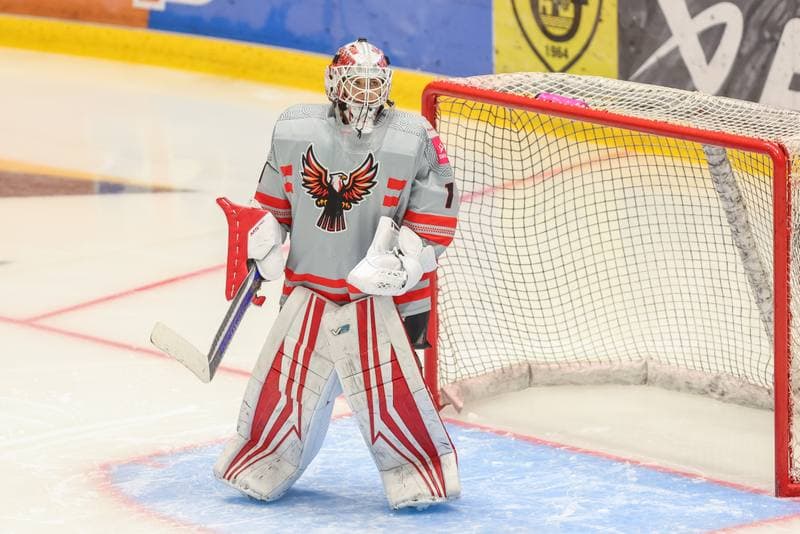 Ice Hockey. EWHL. TAURON Metropolia Silesia - KSV Neuberg Highlanders. 01.10.2023