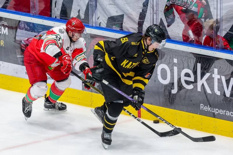 Ice Hockey. Tauron Hokej Liga. Zaglebie Sosnowiec - GKS Katowice. 03.11.2023