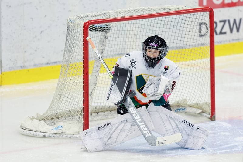 Ice Hockey. Tauron Liga. Kojotki Naprzod Janow - Stoczniowiec Gdansk. 24.02.2024