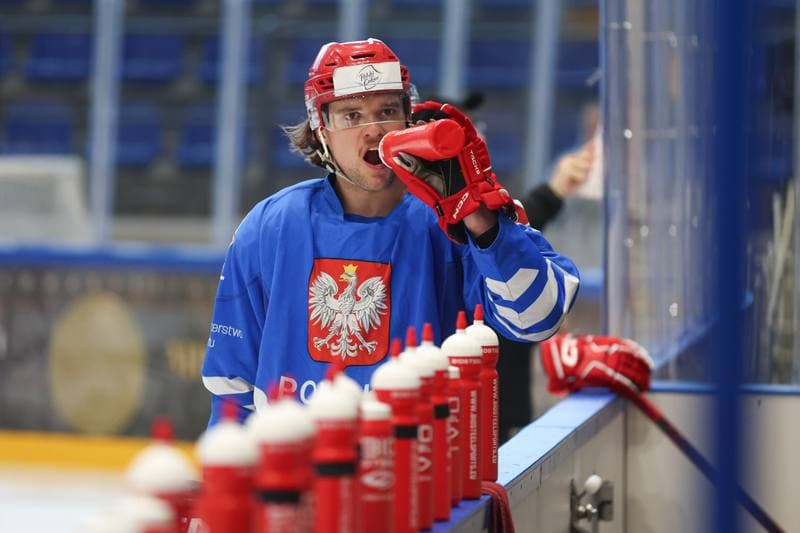 Ice Hockey. Poland national team. Training. 11.04.2024