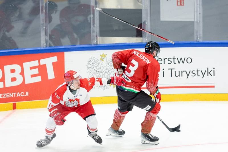 Ice Hockey. Friendly Match. Poland - Hungary. 12.04.2024