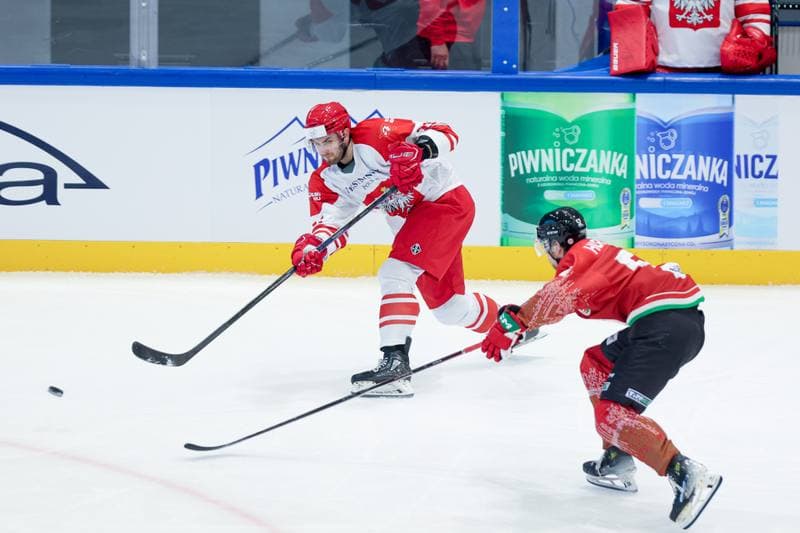 Ice Hockey. Friendly Match. Poland - Hungary. 12.04.2024