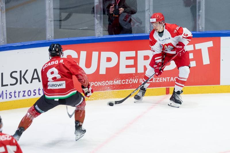 Ice Hockey. Friendly Match. Poland - Hungary. 12.04.2024