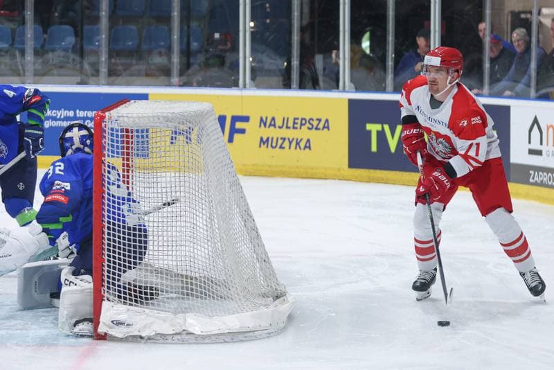 Ice Hockey. Friendly Match. Poland - Slovenia. 18.04.2024