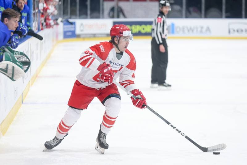 Ice Hockey. Friendly Match. Poland - Slovenia. 19.04.2024