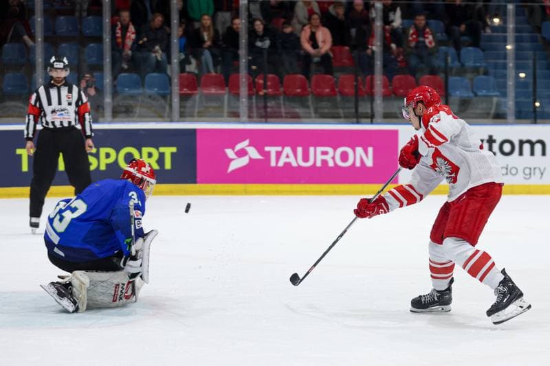Ice Hockey. Friendly Match. Poland - Slovenia. 19.04.2024