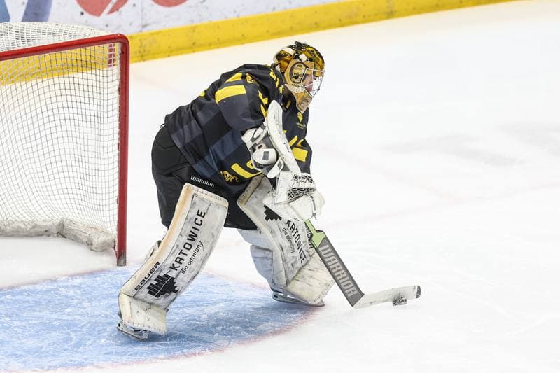 Ice Hockey. Tauron Hokej Liga. EC Bedzin Zaglebie Sosnowiec - GKS Katowice. 01.12.2024
