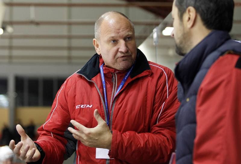 Ice Hockey. Polska Hokej Liga. Naprzod Janow - Unia Oswiecim. 26.10.2014