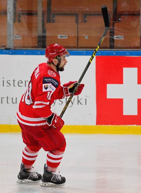 Ice Hockey. International Friendly Match. Poland - Korea. 16.04.2016