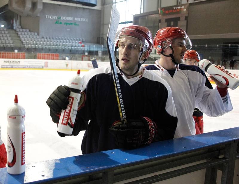 Ice Hockey. Poland national team. Training. 14.04.2015