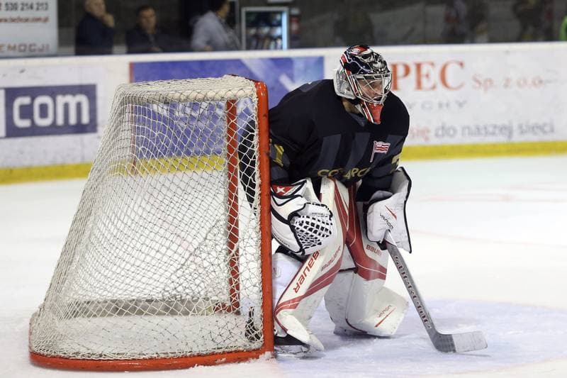 Ice Hockey. Polska Hokej Liga. GKS Tychy - Comarch Cracovia. 25.10.2017