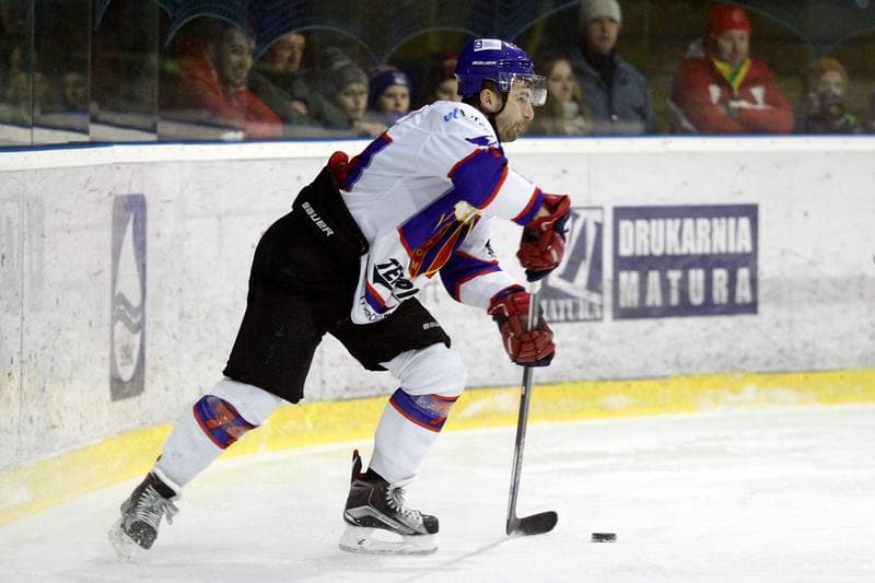 Ice Hockey. Polska Hokej Liga. Tempish Polonia Bytom - GKS Tychy. 15.02.2017