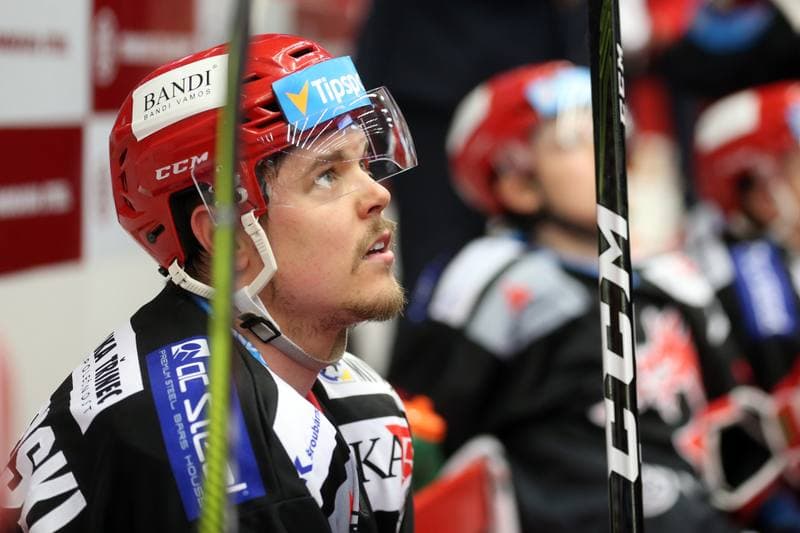 Ice Hockey. Tipsport Extraliga. Ocelari Trinec - Kometa Brno. 14.04.2018