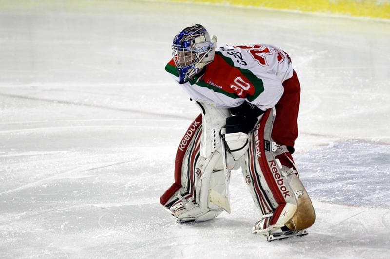 Ice Hockey. I Liga. Zaglebie Sosnowiec - Academy 1928 KTH Krynica. 10.02.2018