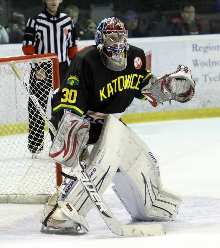 Ice Hockey. Polska Hokej Liga. GKS Tychy - HC GKS Katowice. 18.02.2014