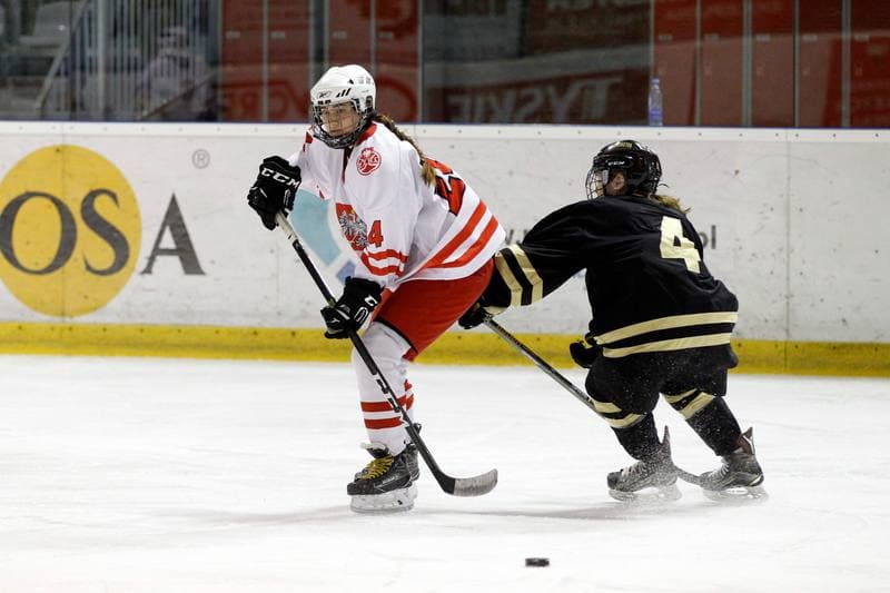 Ice Hockey. Women's Friendly Match. Poland - Washington Pride Hockey. 30.12.2018